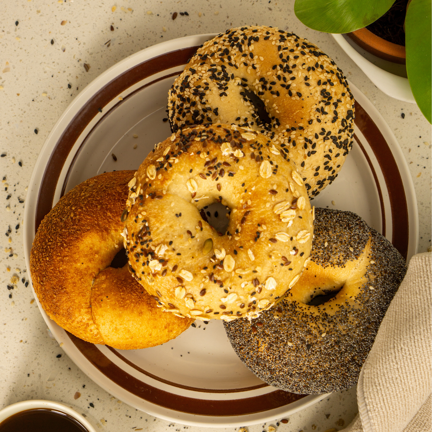 Classic Sourdough Bagel Set