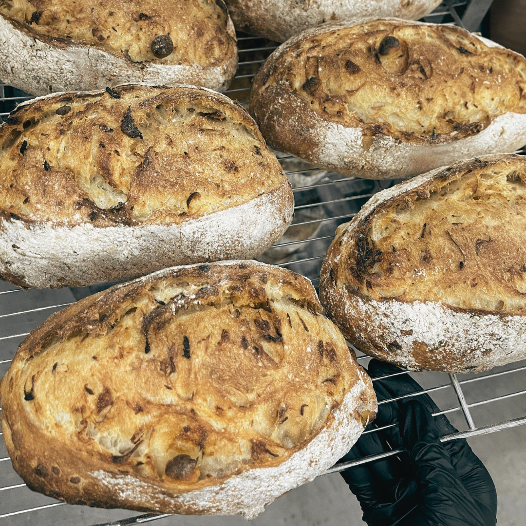 Onion Cheese Sourdough